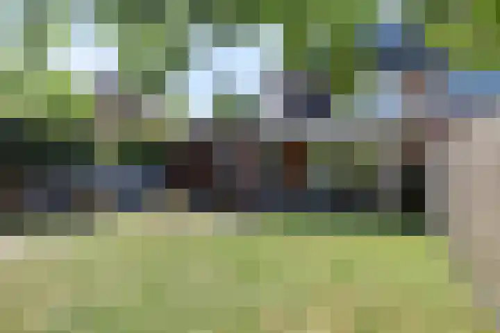 Veenweide 11 Hellevoetsluis thumbnail 21