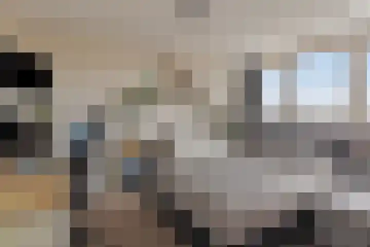 Veenweide 11 Hellevoetsluis thumbnail 33