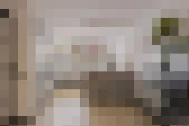 Veenweide 11 Hellevoetsluis thumbnail 6