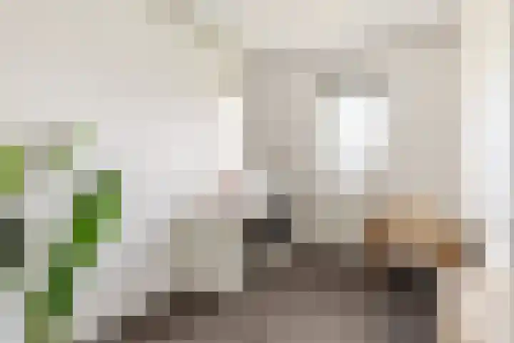 Veenweide 5 Hellevoetsluis thumbnail 19
