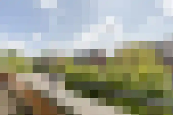 Veenweide 5 Hellevoetsluis thumbnail 24