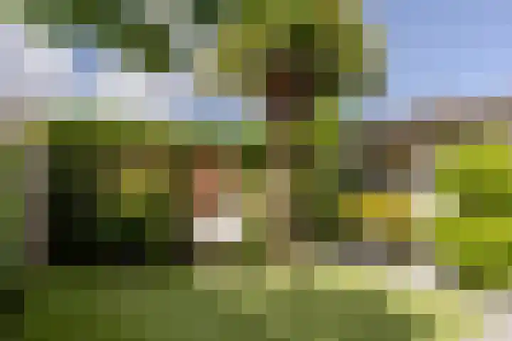 Veenweide 5 Hellevoetsluis thumbnail 34