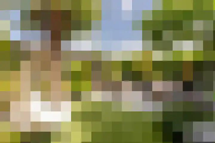 Veenweide 5 Hellevoetsluis thumbnail 35