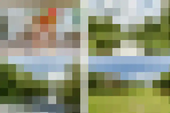 Veenweide 5 Hellevoetsluis thumbnail 37