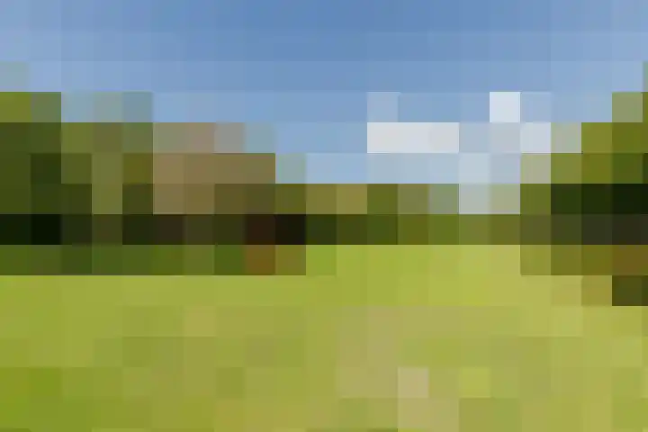 Veenweide 5 Hellevoetsluis thumbnail 43