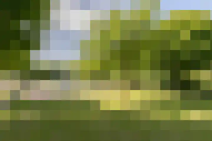Veenweide 5 Hellevoetsluis thumbnail 44