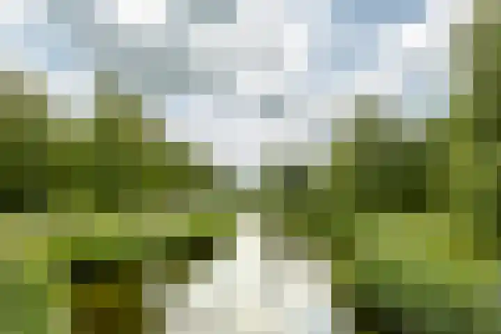 Veenweide 5 Hellevoetsluis thumbnail 45