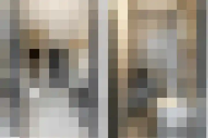 Veenweide 5 Hellevoetsluis thumbnail 8