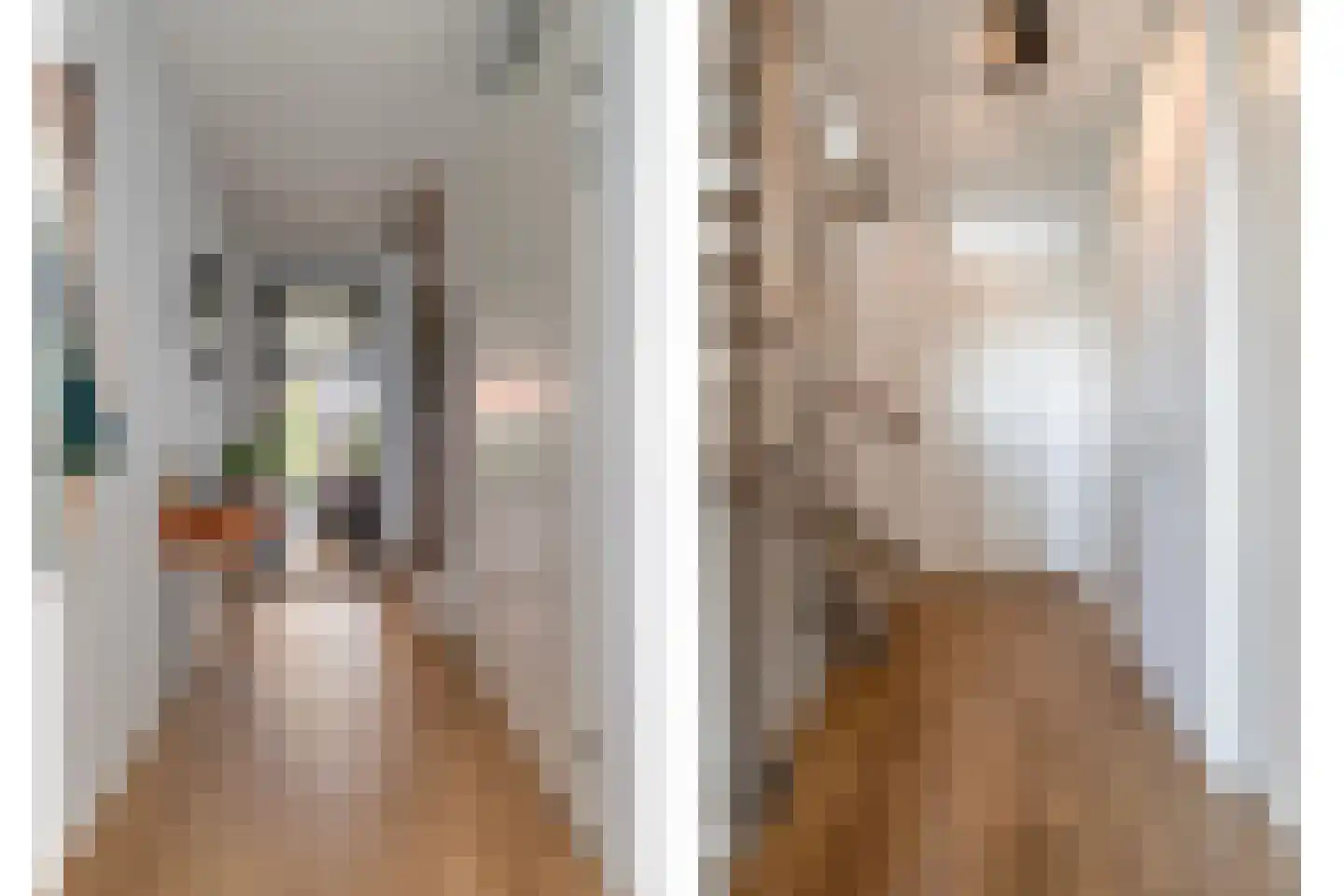 Veenwortel 14 Roelofarendsveen thumbnail 10