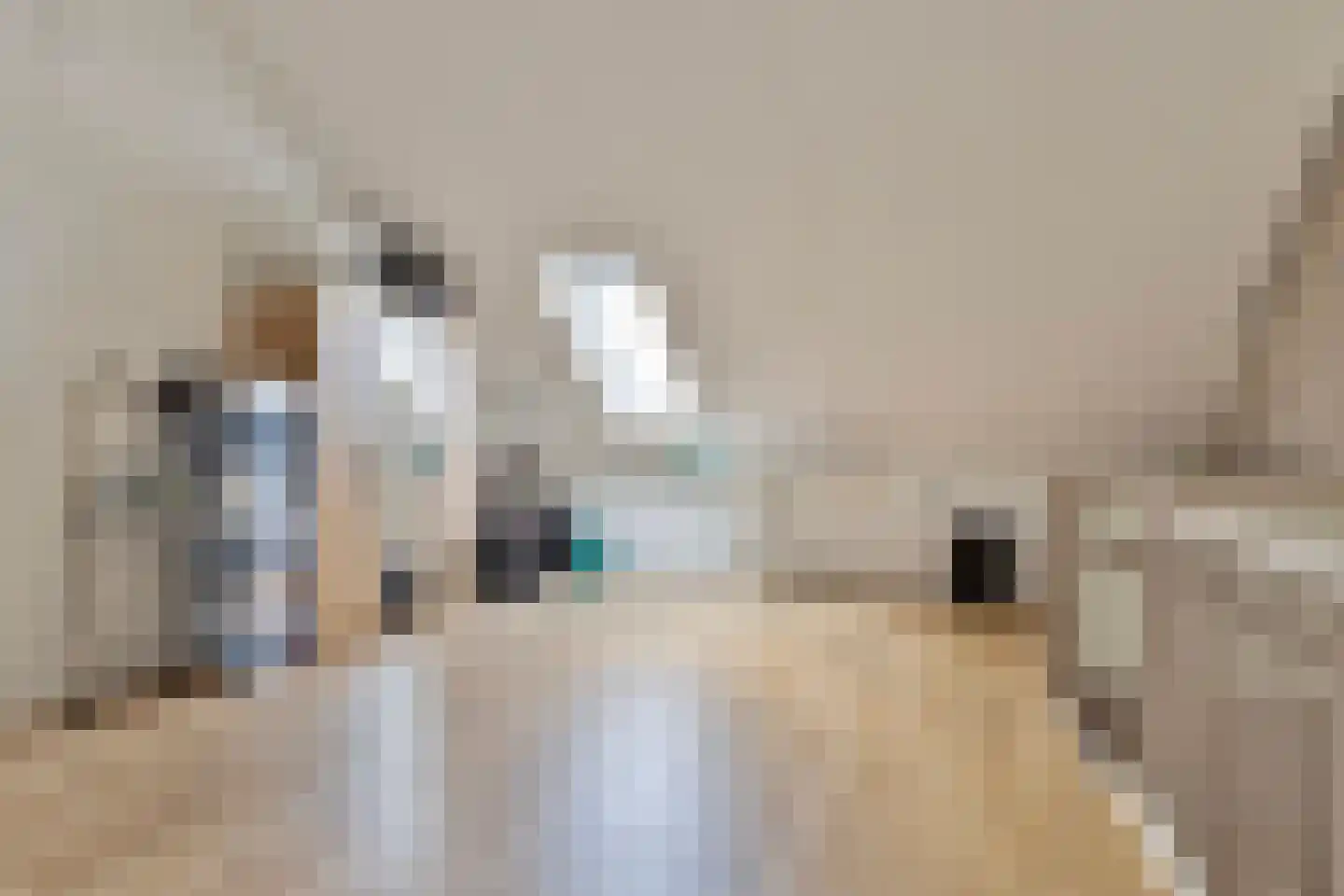 Veenwortel 14 Roelofarendsveen thumbnail 17