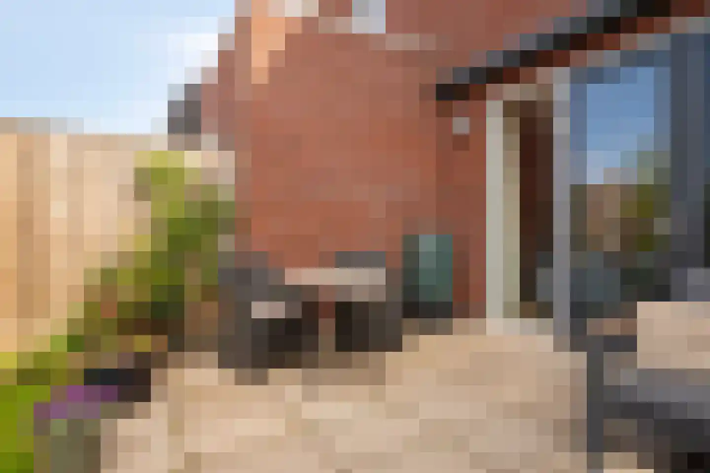 Veenwortel 14 Roelofarendsveen thumbnail 19