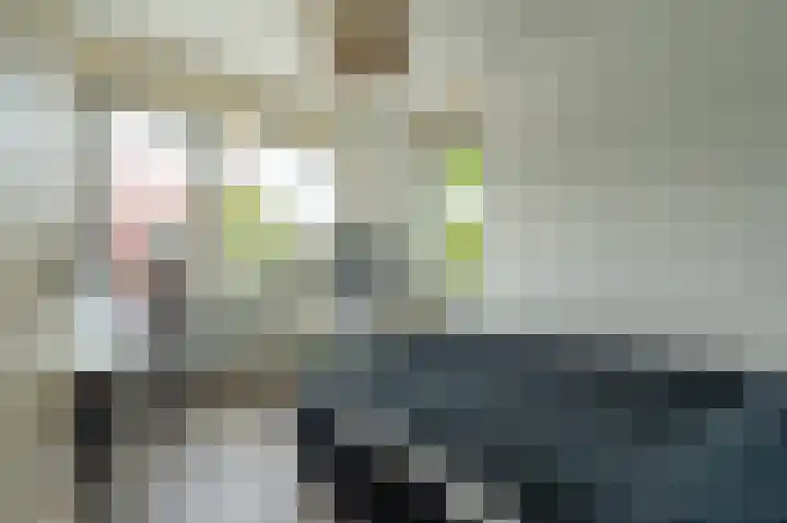 Veenwortel 15 Elst thumbnail 16