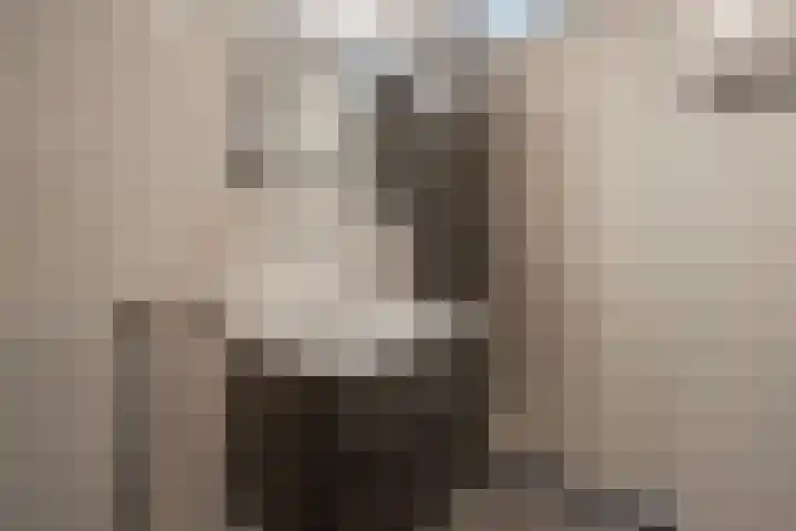 Veenwortel 15 Elst thumbnail 21