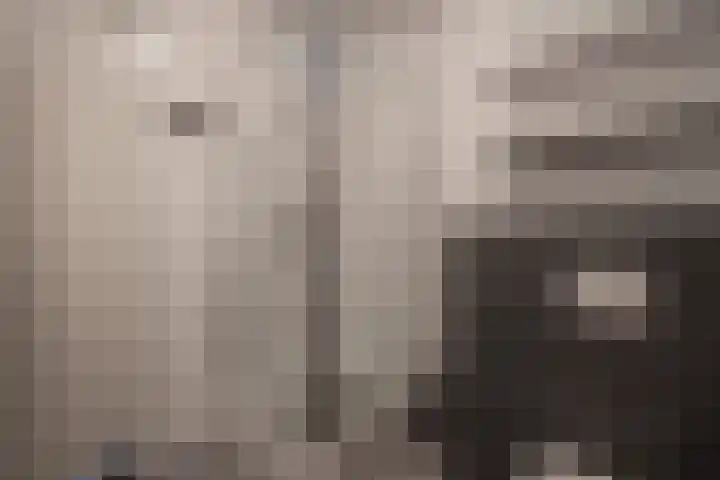 Veenwortel 15 Elst thumbnail 22