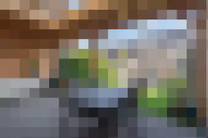 Veenwortel 15 Elst thumbnail 29
