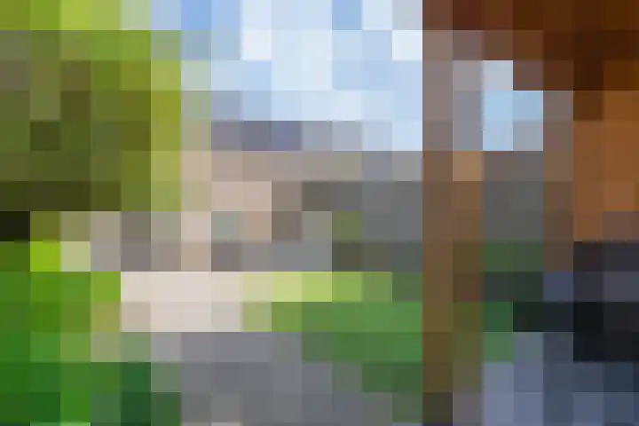 Veenwortel 15 Elst thumbnail 30