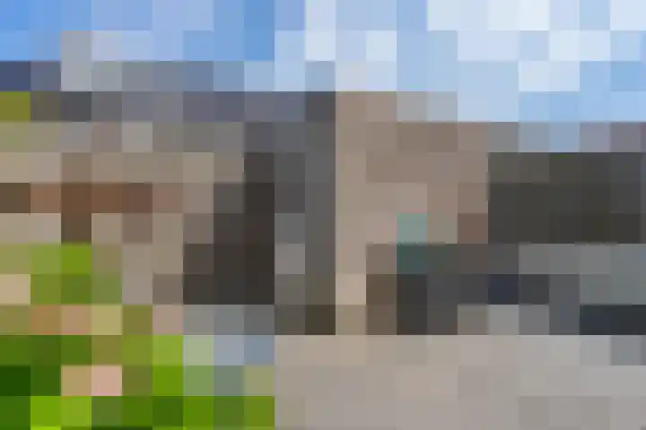 Veenwortel 15 Elst thumbnail 32