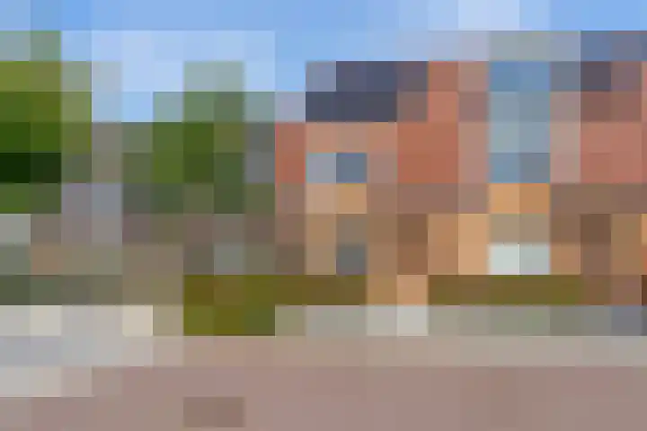 Veenwortel 15 Elst thumbnail 34