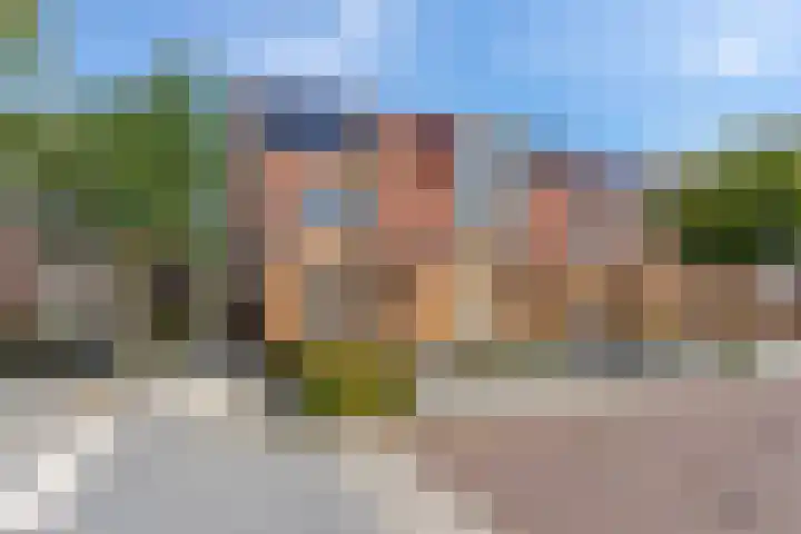Veenwortel 15 Elst thumbnail 36
