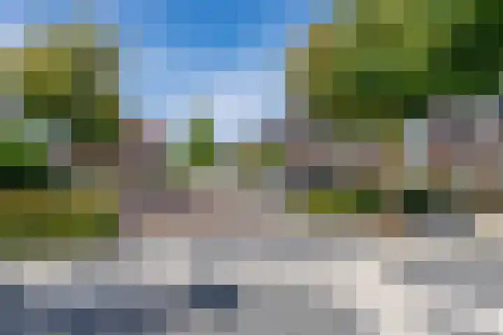 Veenwortel 15 Elst thumbnail 38