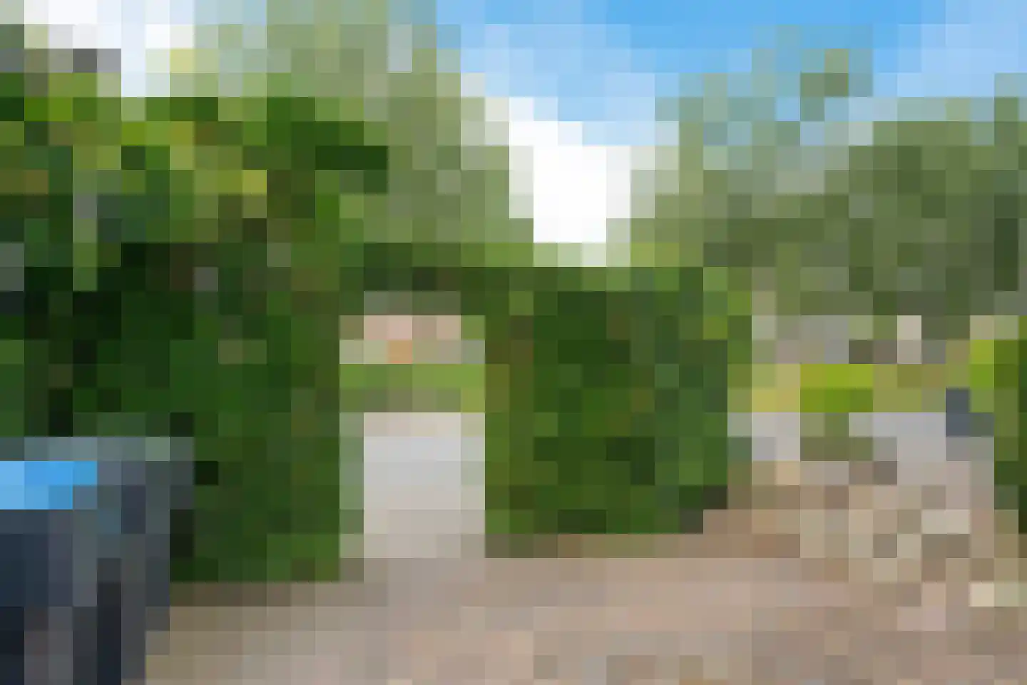 Veenwortel 25 Roden thumbnail 10