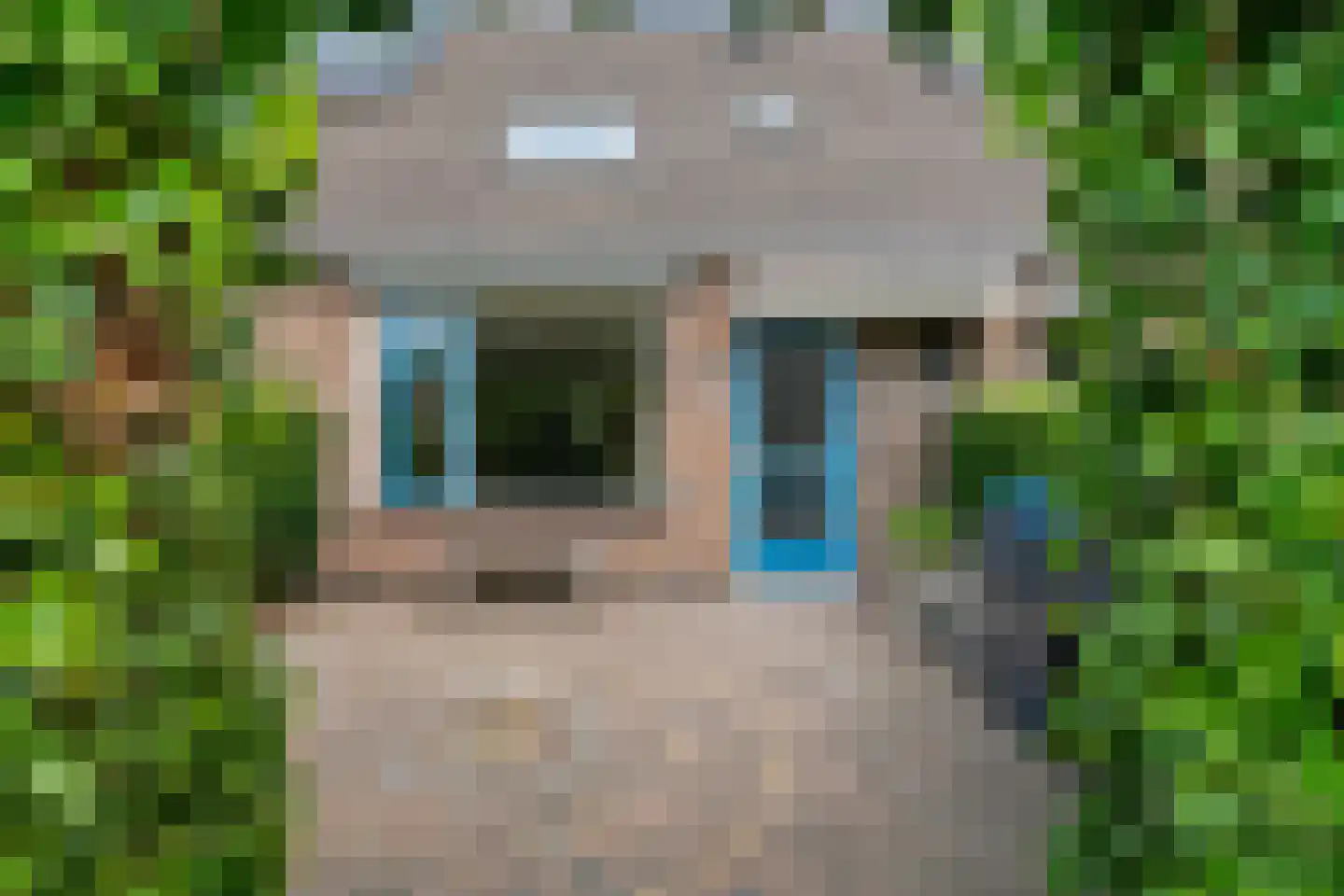 Veenwortel 25 Roden thumbnail 11