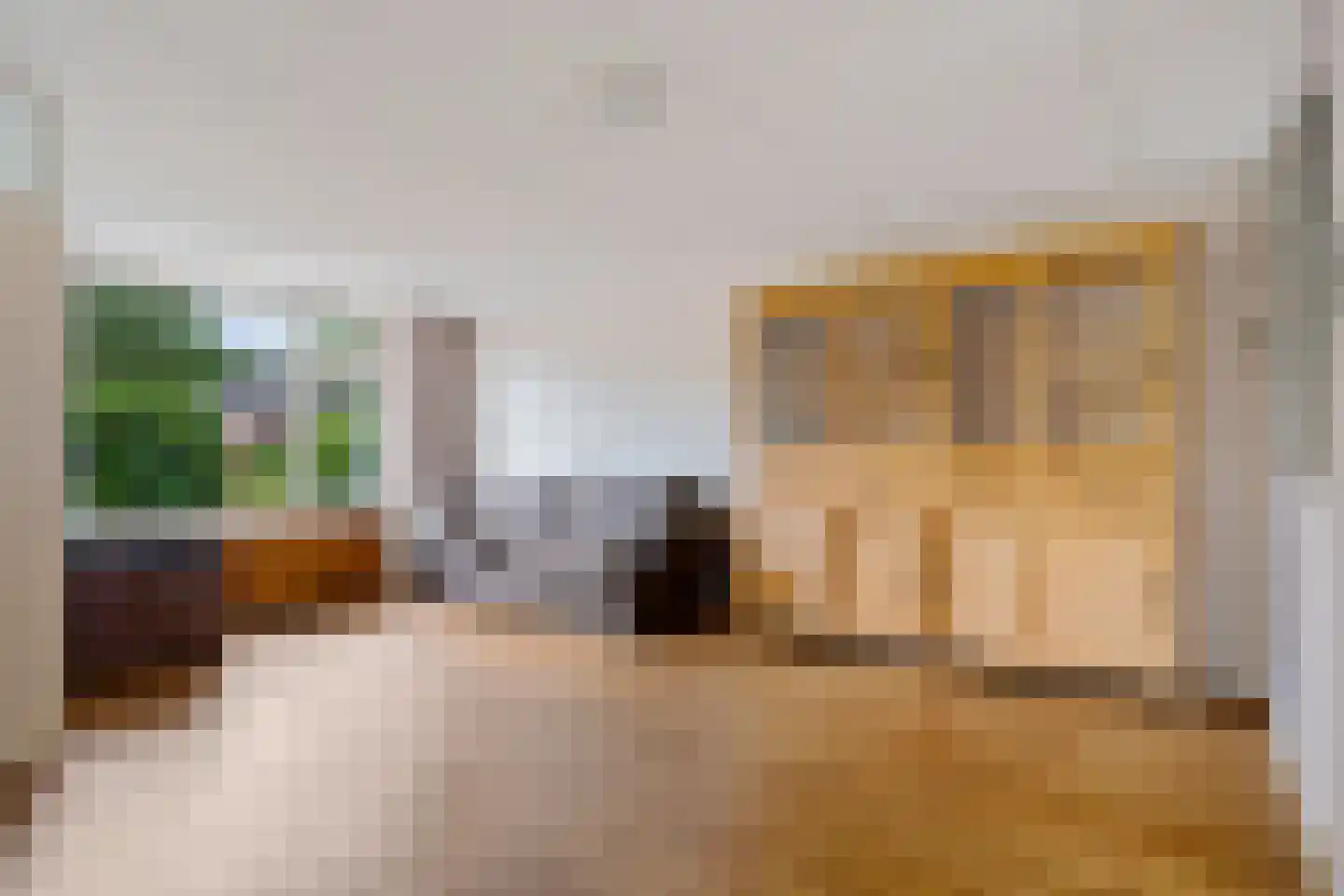 Veenwortel 25 Roden thumbnail 20