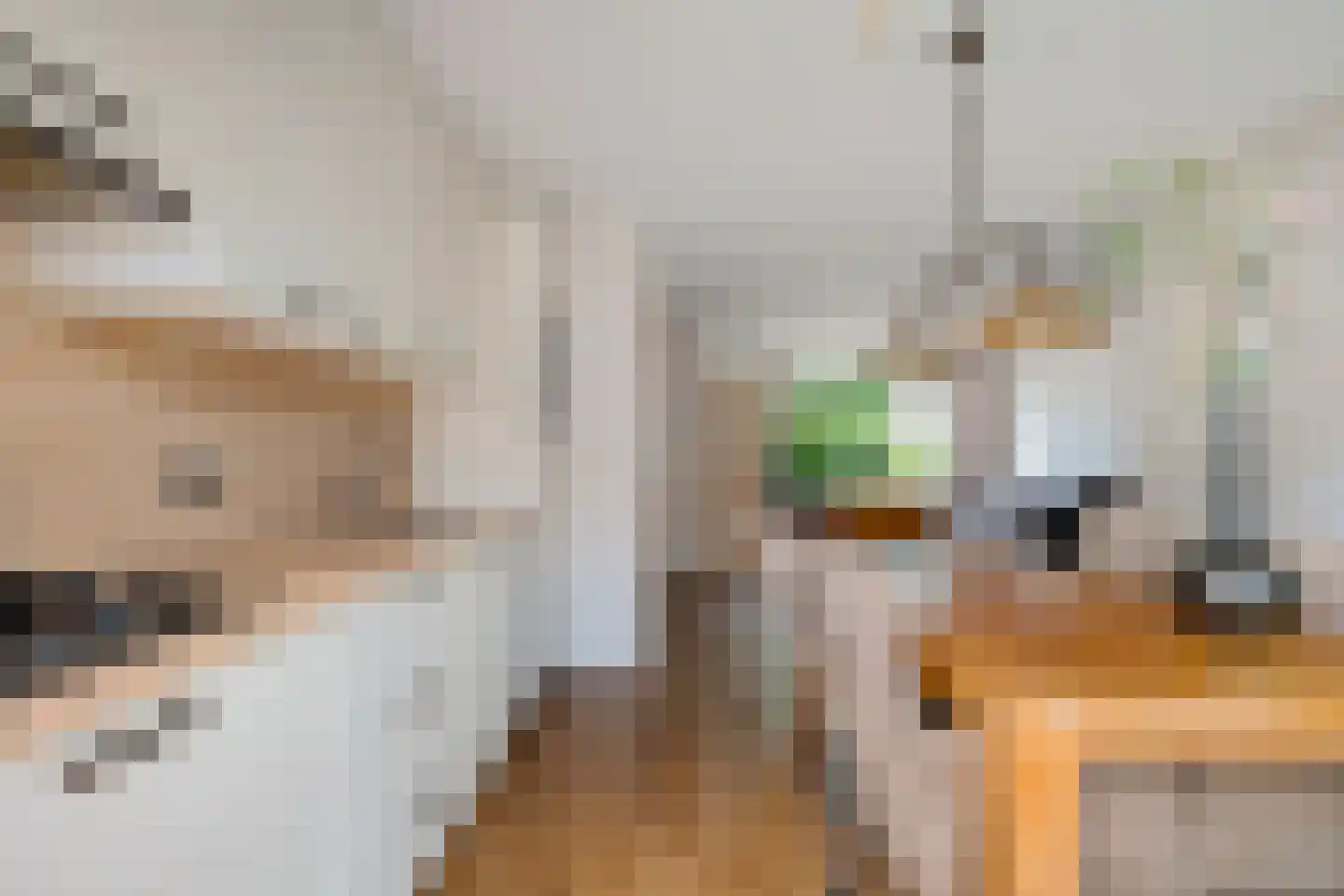 Veenwortel 25 Roden thumbnail 23