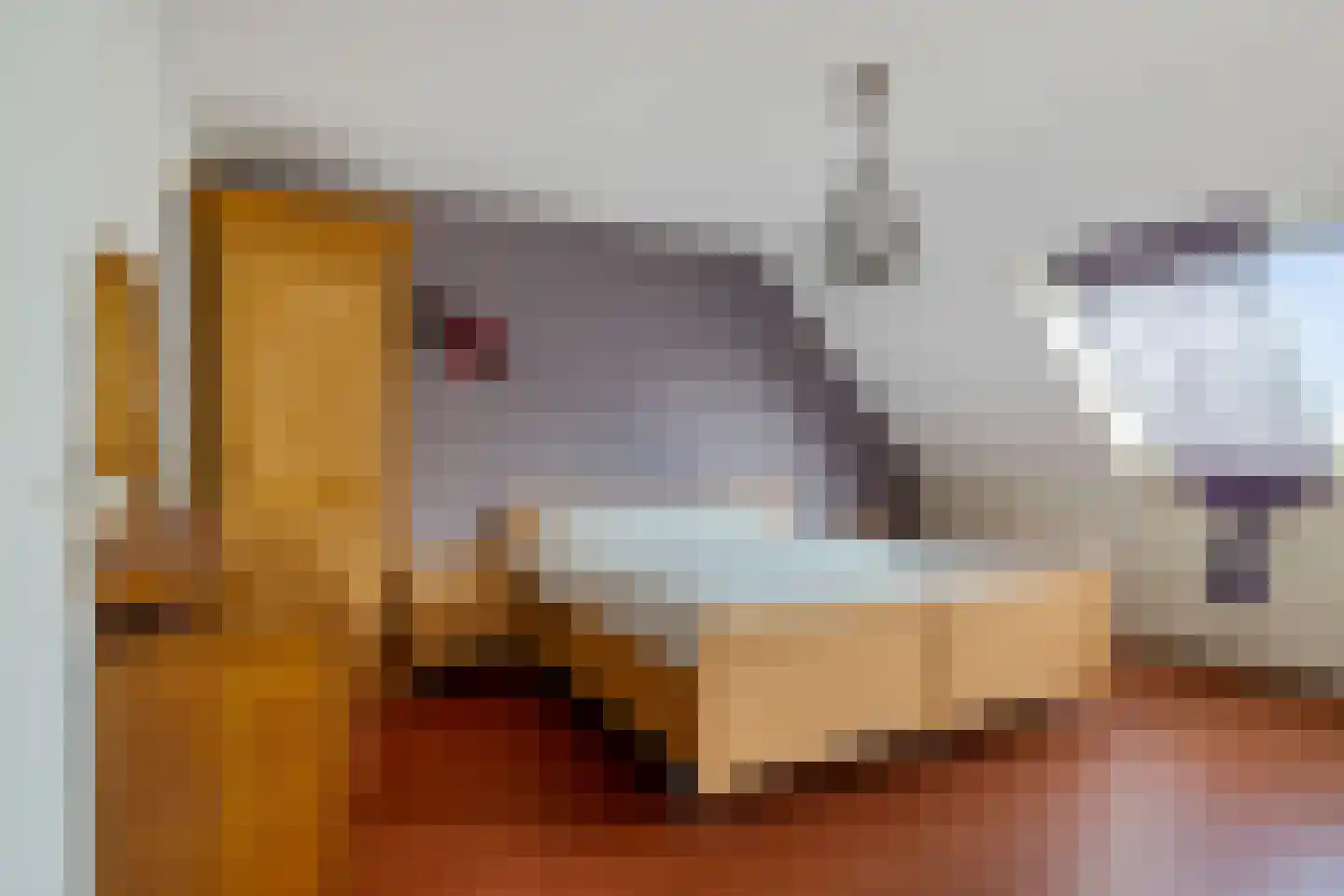 Veenwortel 25 Roden thumbnail 27