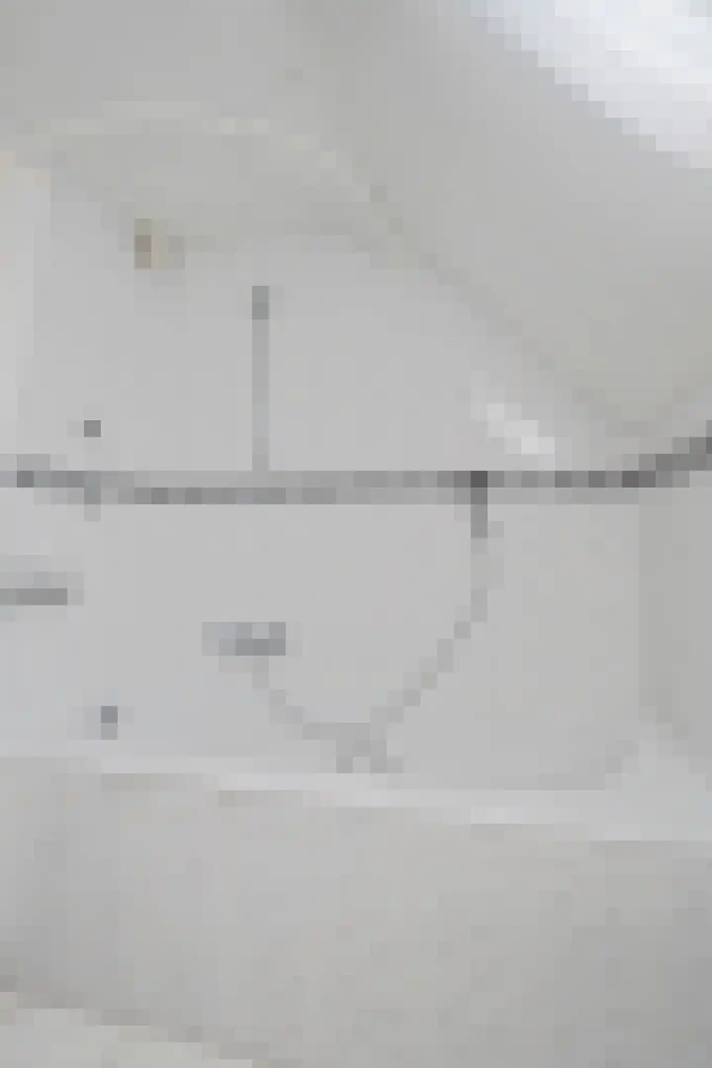 Veenwortel 25 Roden thumbnail 32