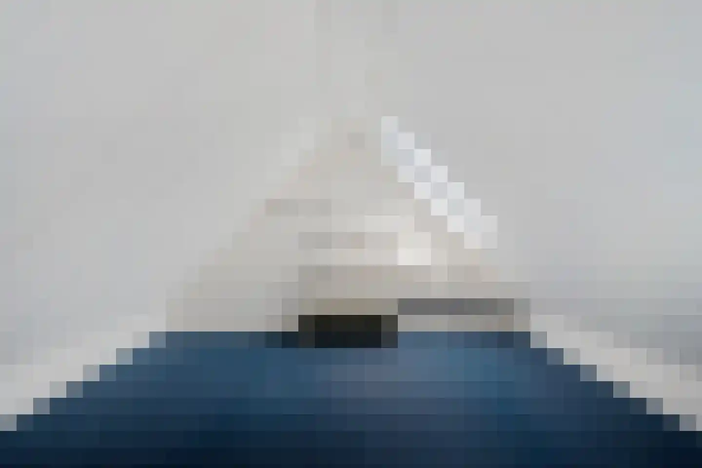 Veenwortel 25 Roden thumbnail 34