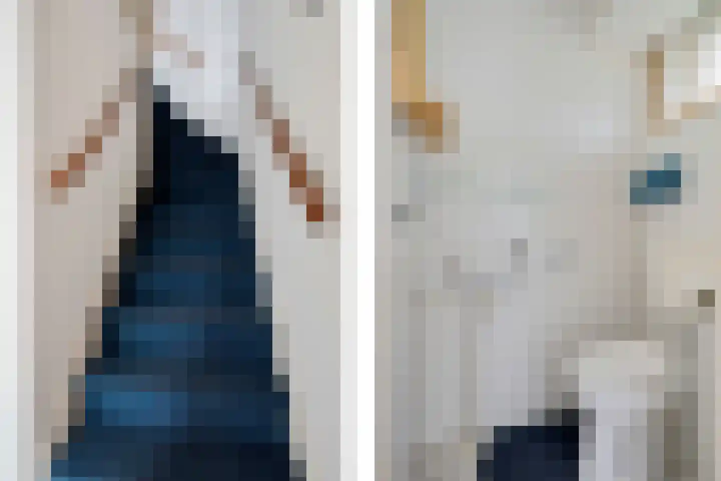 Veenwortel 25 Roden thumbnail 36