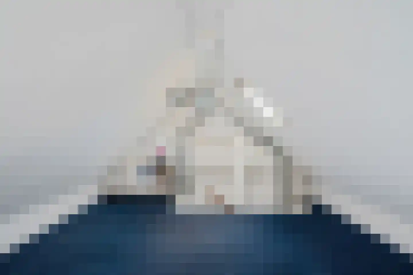 Veenwortel 25 Roden thumbnail 37
