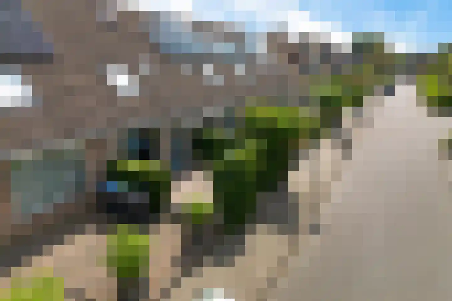 Veenwortel 25 Roden thumbnail 41