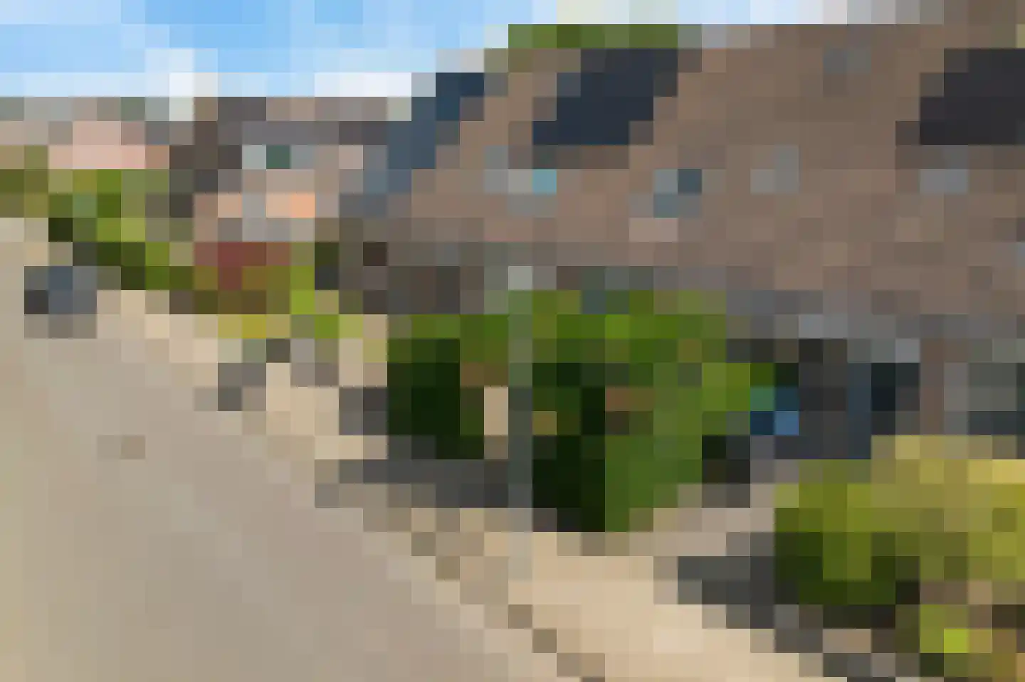 Veenwortel 25 Roden thumbnail 42