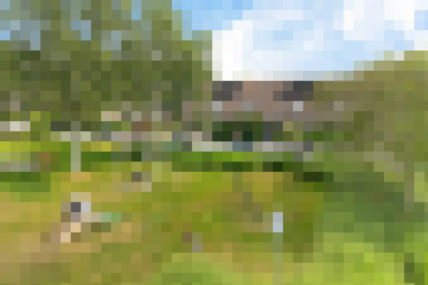 Veenwortel 25 Roden thumbnail 43