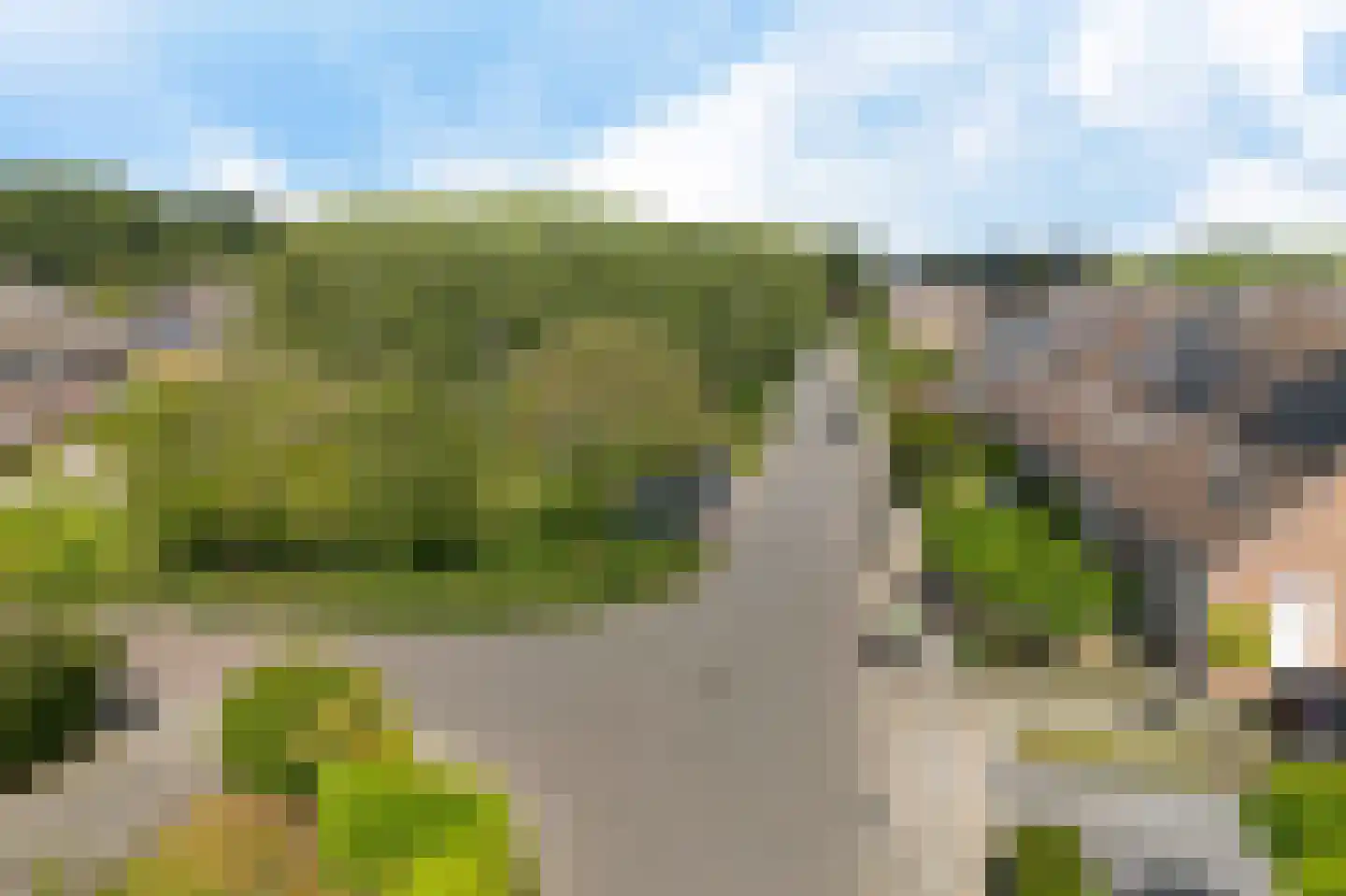 Veenwortel 25 Roden thumbnail 44