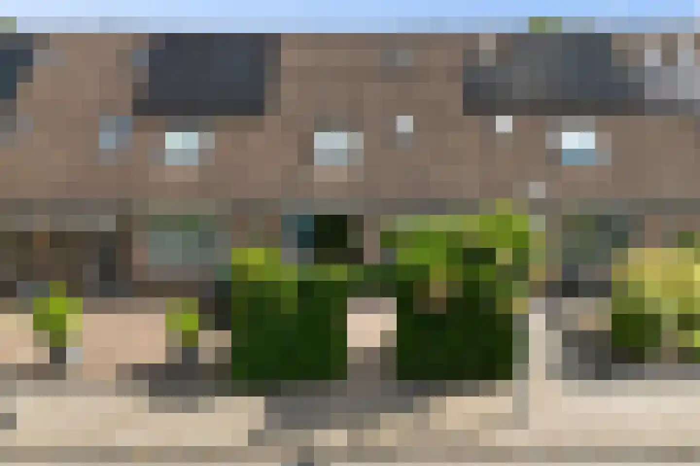 Veenwortel 25 Roden thumbnail 5