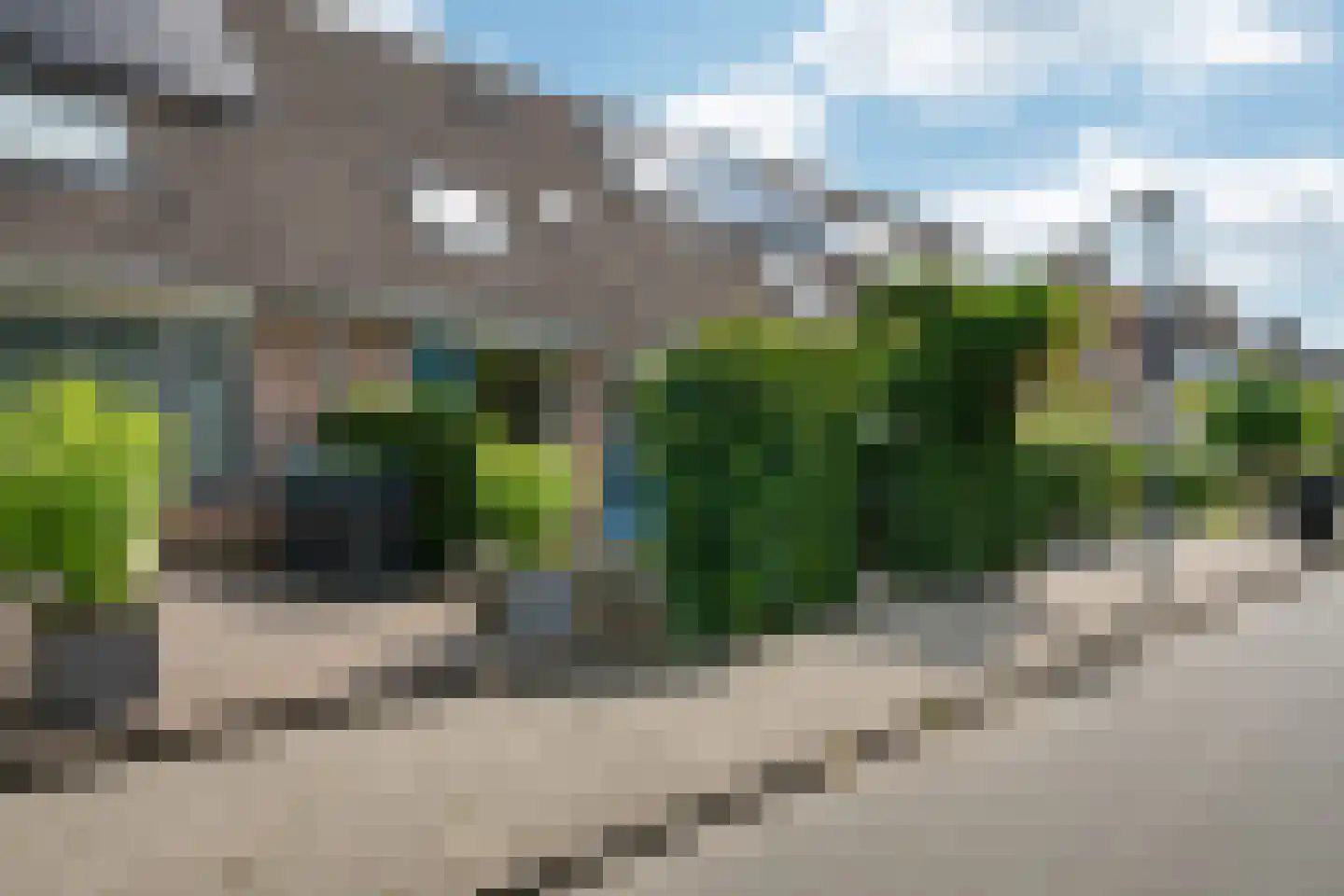 Veenwortel 25 Roden thumbnail 6