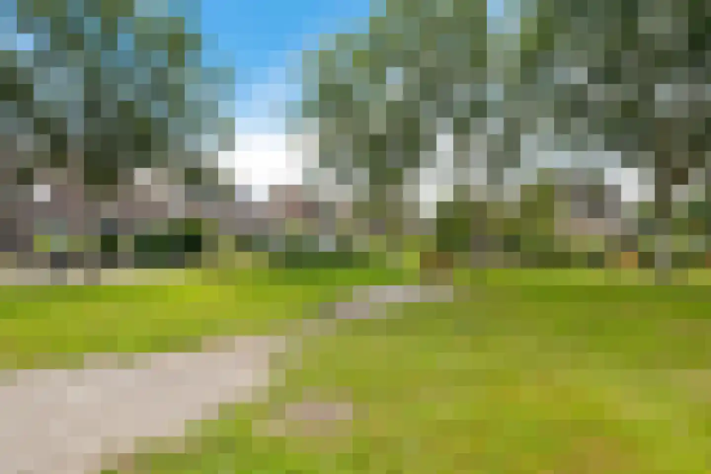 Veenwortel 25 Roden thumbnail 7