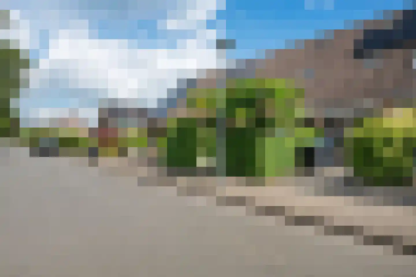 Veenwortel 25 Roden thumbnail 9