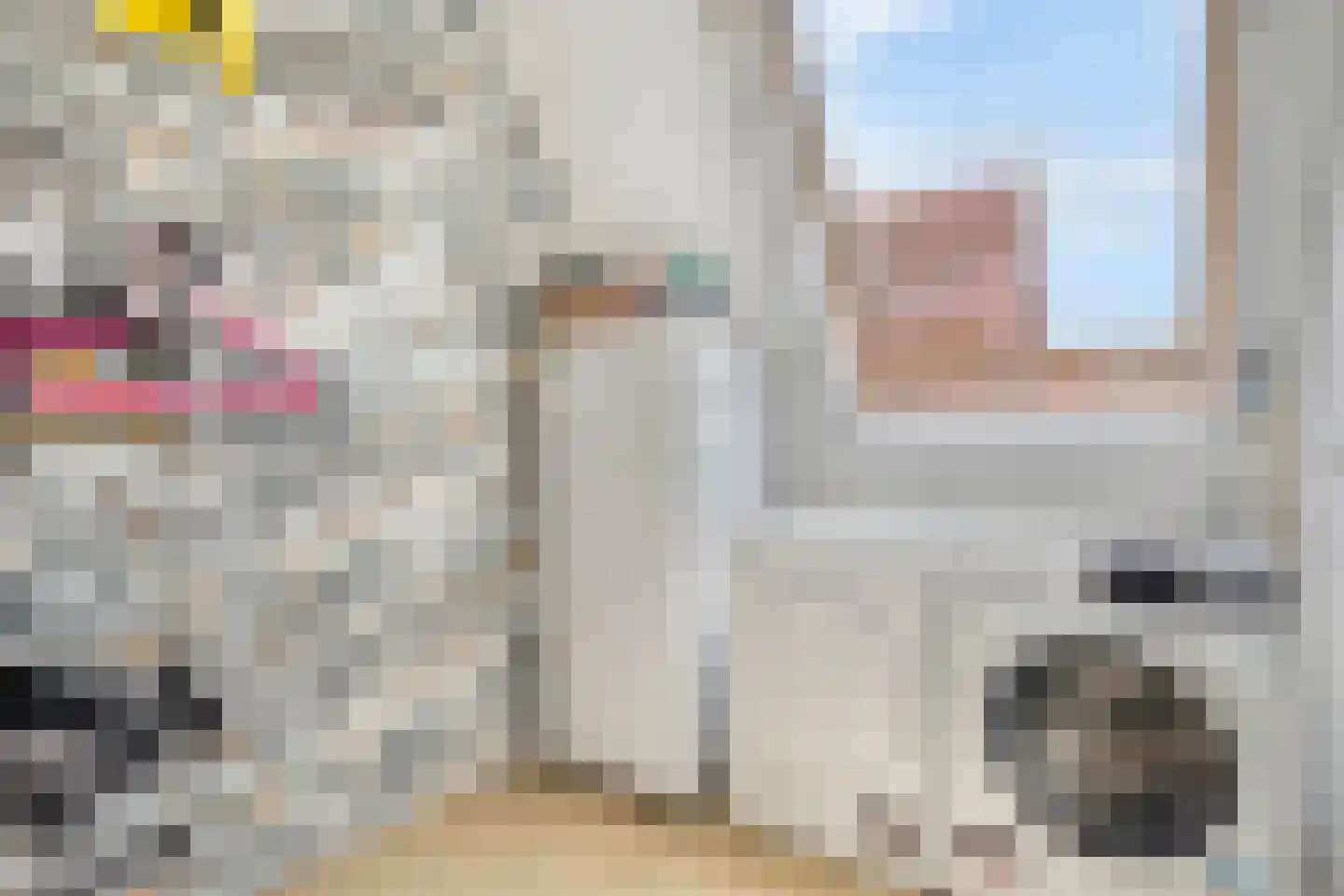 Veenwortel 42 Den Haag thumbnail 31