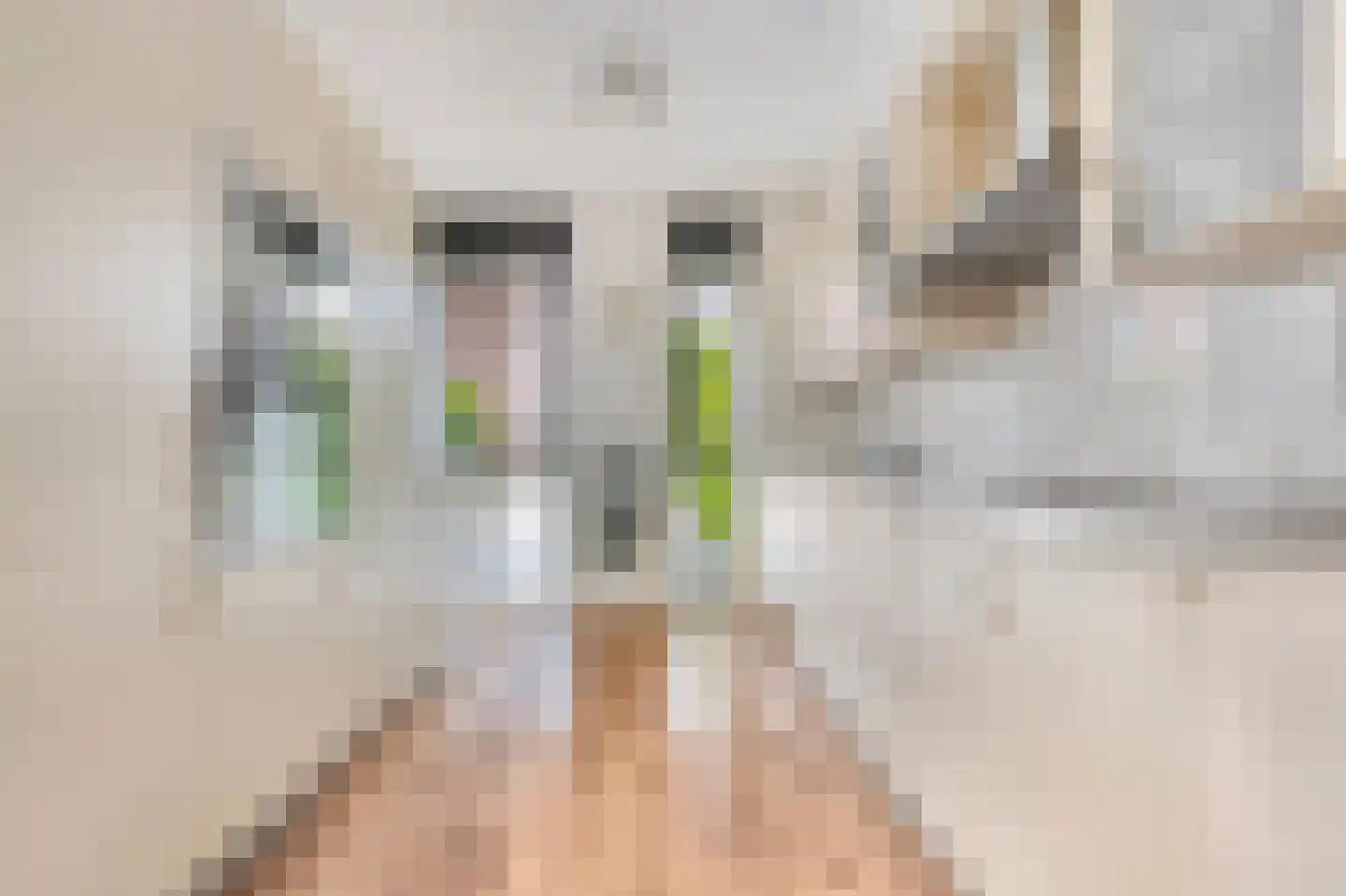 Veenwortel 42 Den Haag thumbnail 4