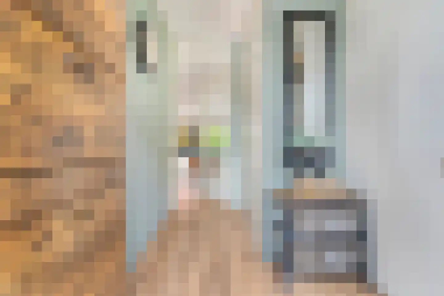 Veenwortel 42 Den Haag thumbnail 7