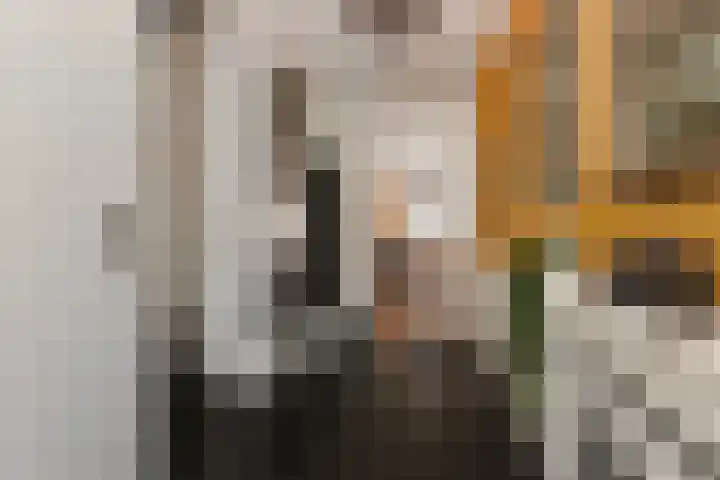 Veenwortel 56 Den Haag thumbnail 11