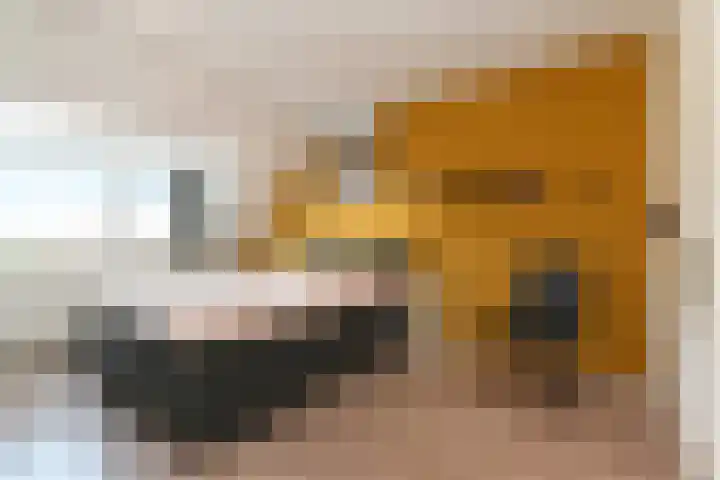 Veenwortel 56 Den Haag thumbnail 36
