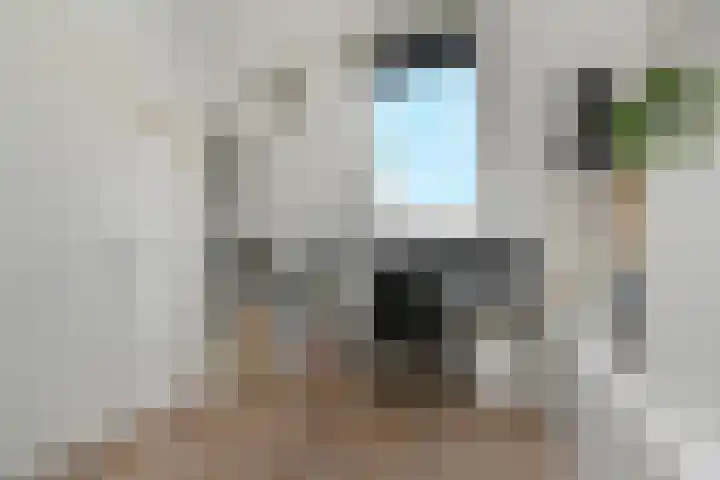Veenwortel 56 Den Haag thumbnail 44