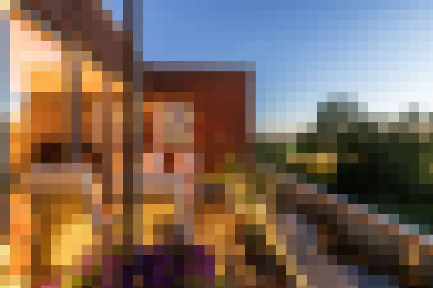 Veenwortelstraat 129 Arnhem thumbnail 23