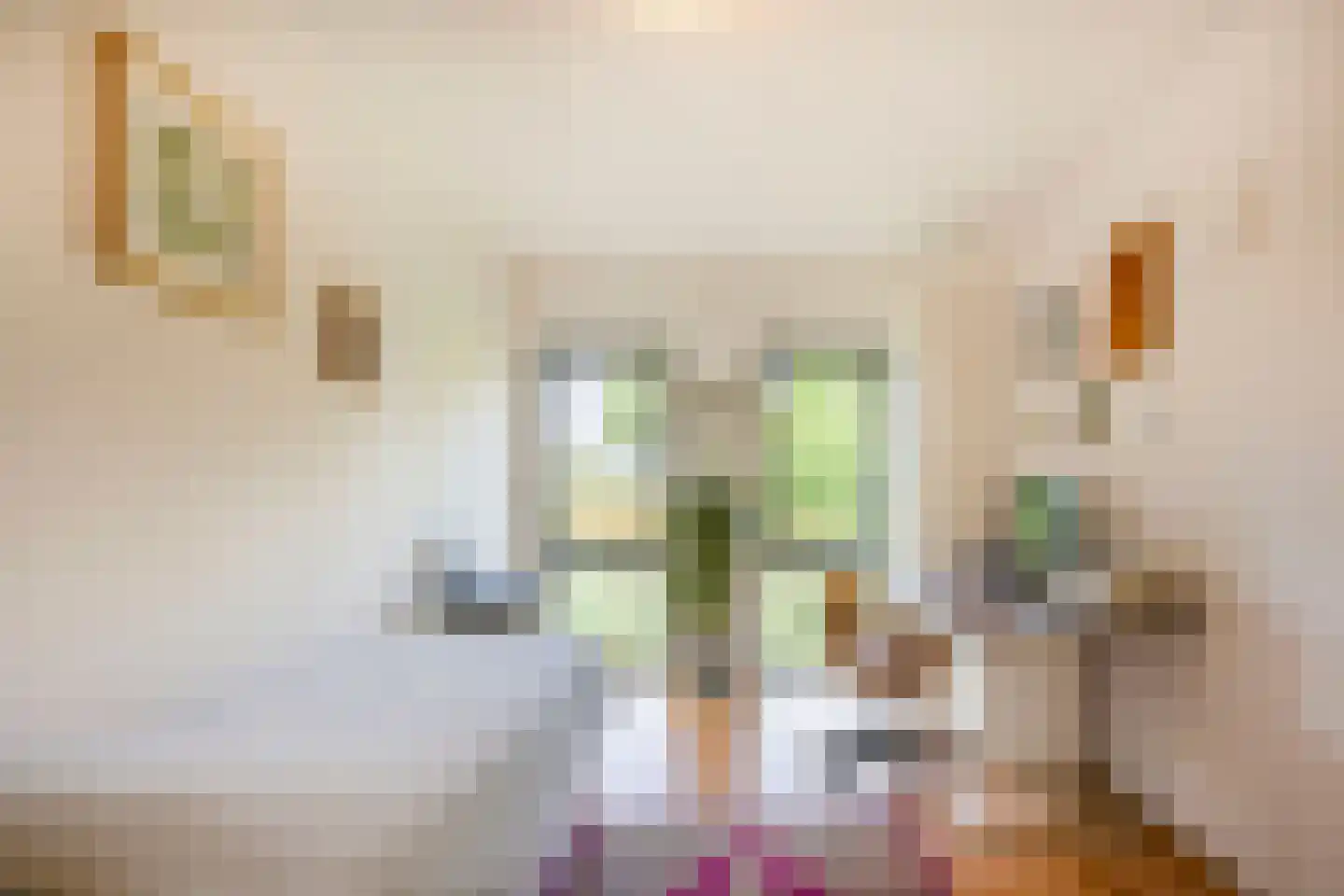 Veenwortelstraat 19 Arnhem thumbnail 16
