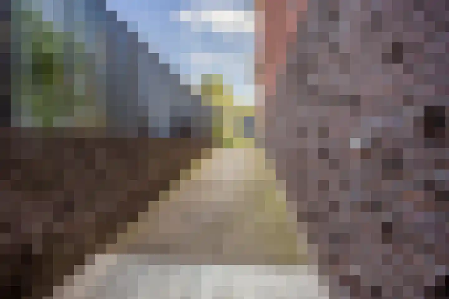 Veenwortelstraat 19 Arnhem thumbnail 33